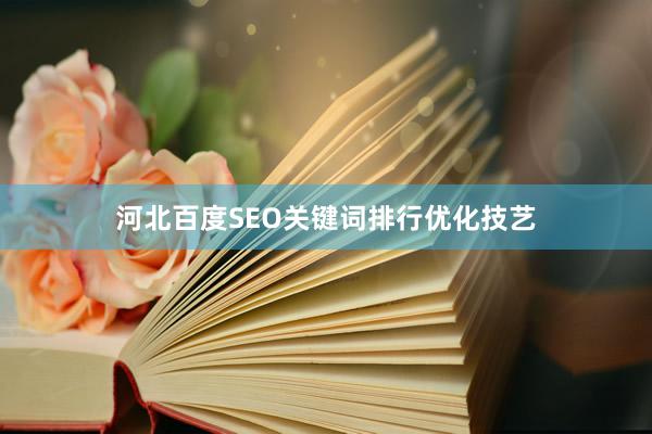 河北百度SEO关键词排行优化技艺